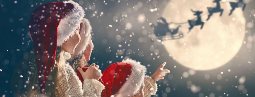 Le jardin de Monsieur KIndle